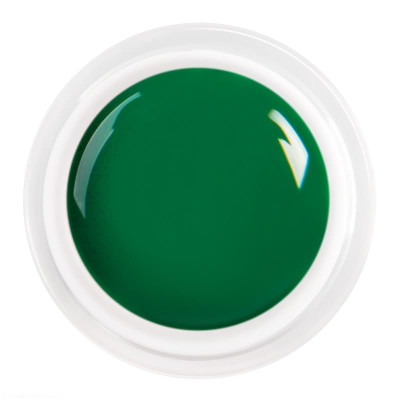 Żel kolorowy / paint żel 5 ml - nr 040 - zielony