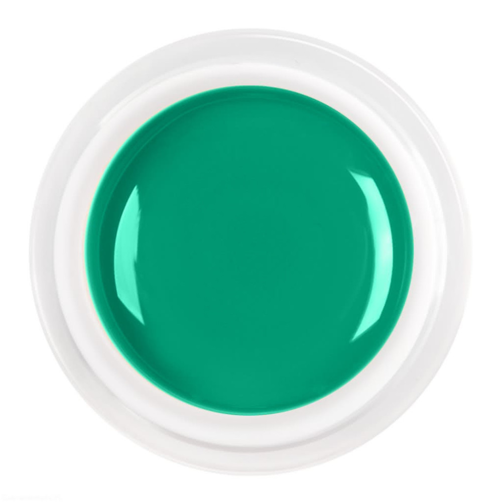 Żel kolorowy / paint żel 5 ml - nr 051 - miętowy zielony