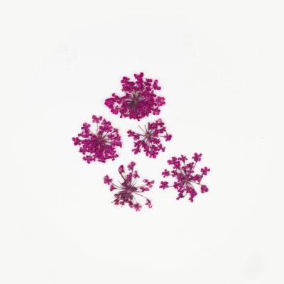 Ozdoba do paznokci suszone kwiatki fioletowe - 5szt.